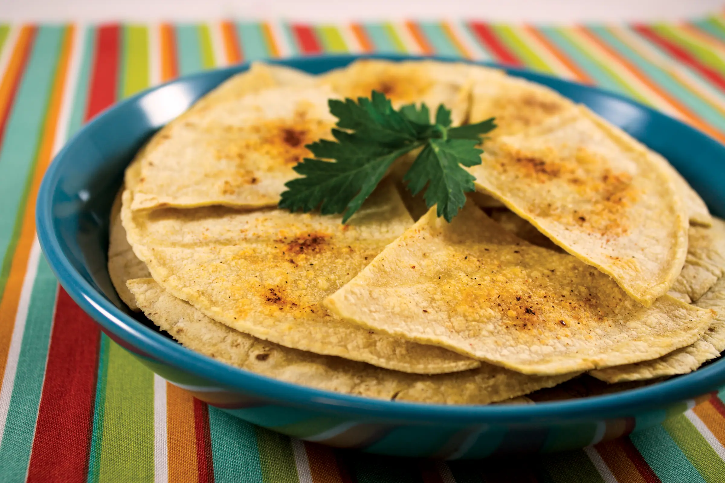 Homemade Tortilla Chips – Choose Homemade