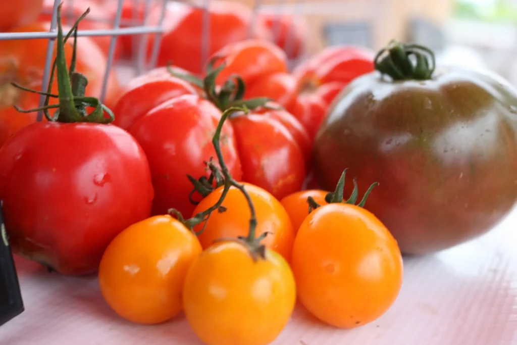 tomatoes with stems on.